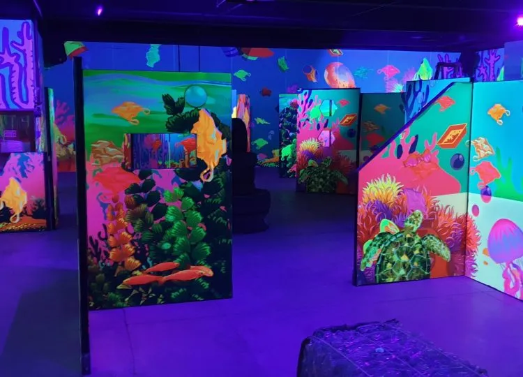Proyecto Galaxzer – Decoración