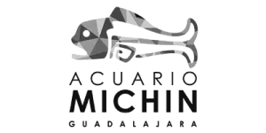 michin